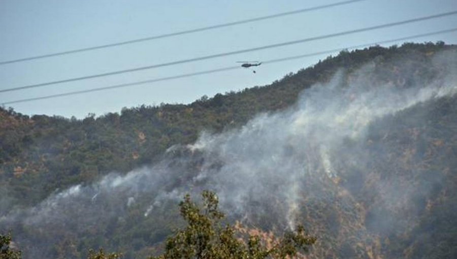 Declaran Alerta Roja en Curacaví por gigantesco incendio forestal