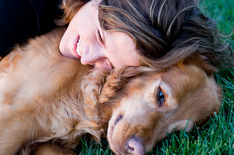 10 formas en las que tu perro dice: Te amo