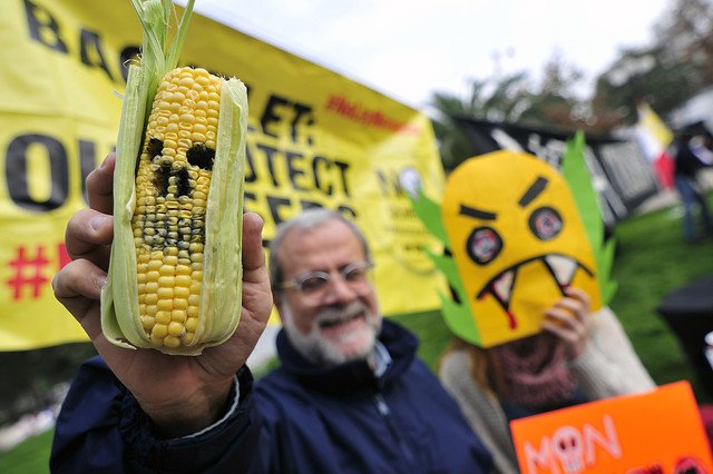 Marcha contra Monsanto reúne a decenas de personas en Santiago