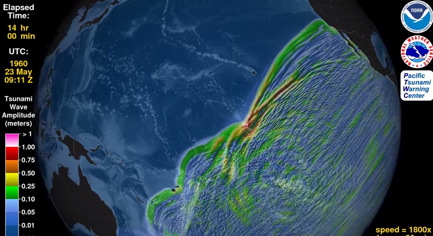 Video: Publican cómo se expandió tsunami de Valdivia de 1960