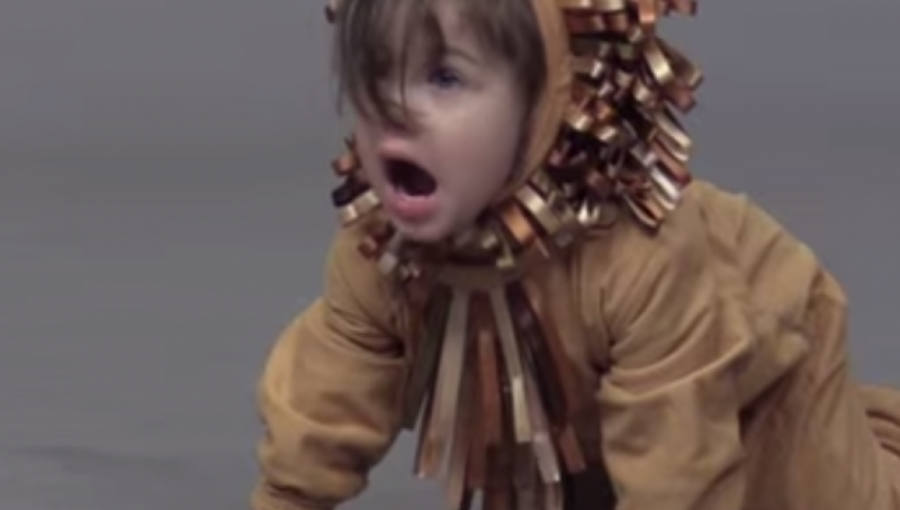 Video: Brutal casting infantil expone realidad sobre el maltrato animal