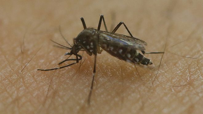 Registran en EE.UU. el primer contagio de zika por vía sexual