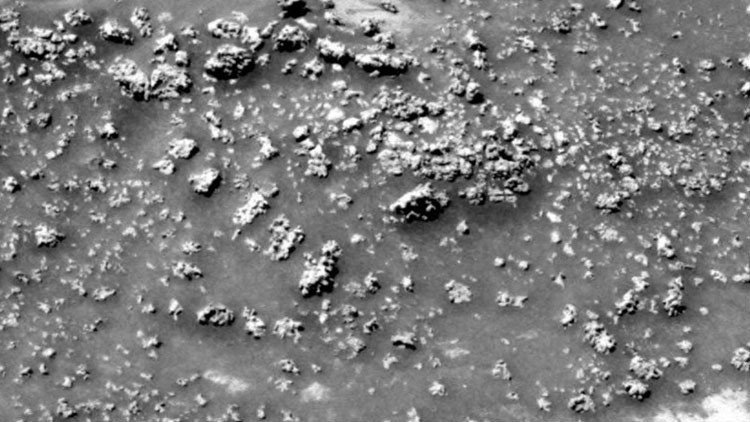 ¿Un antes y un después?: Científicos creen haber hallado la prueba de que existió vida en Marte