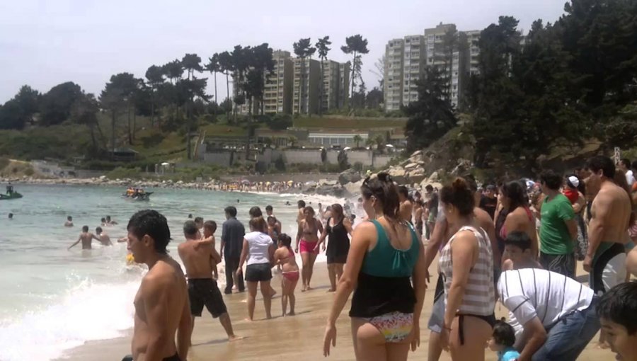 Seremi de Salud decretó prohibición de baño en Playas El Canelo y El Canelillo por presencia de fragata portuguesa