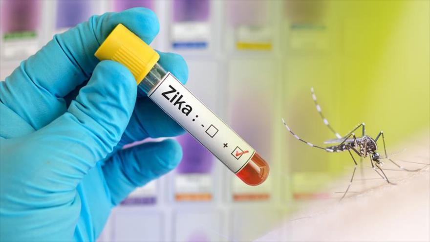 España confirma el primer caso de Europa de zika en una mujer embarazada