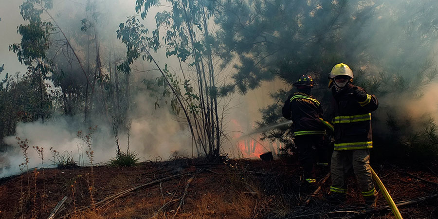 Onemi declara Alerta Roja en Lago Ranco tras incendio que consumió 40 hectáreas