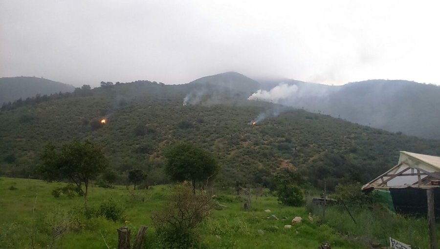 Incendio forestal en Cuesta La Dormida alerta a Bomberos y a Conaf