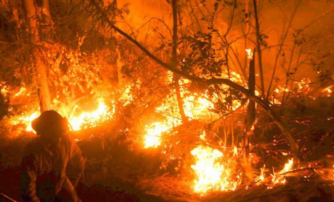 Alerta Roja en la V región por Incendio Forestal en Valparaíso