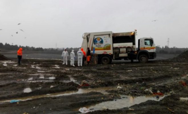 Puerto Montt: Hombre que dormía en container de basura muere triturado por camión