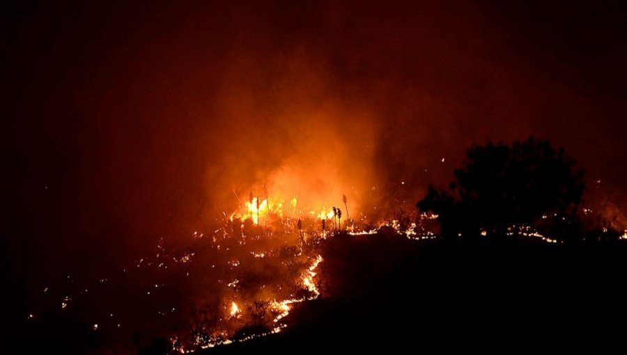 Incendios Forestales en zona centro: Onemi informa de 19 focos activos