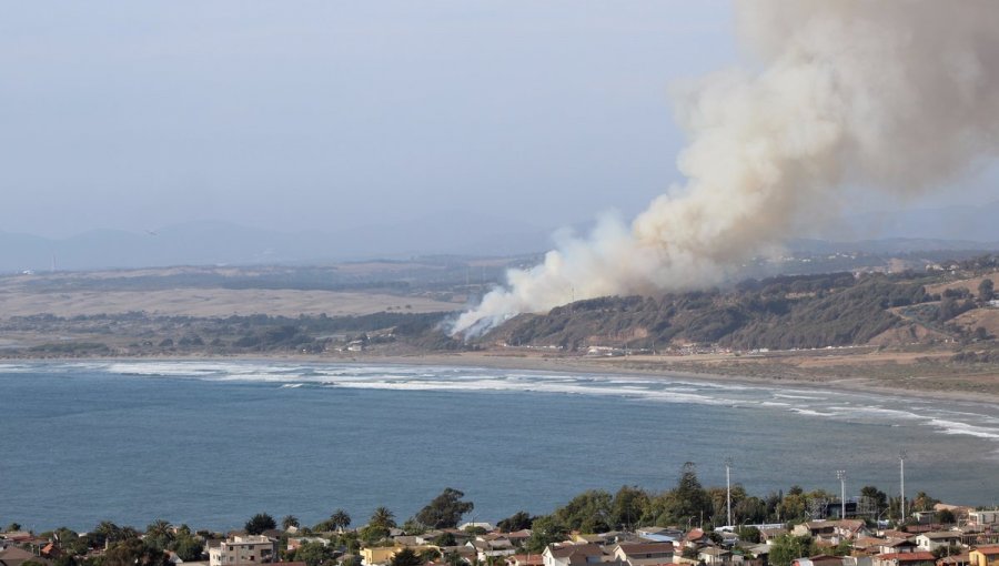 Feroz choque en ruta a Quintero provoca incendio forestal a la altura de Ritoque