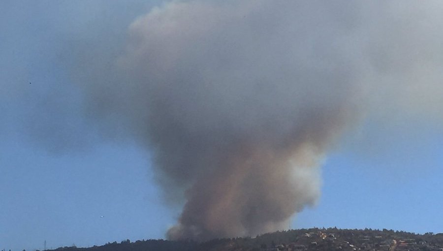 Nuevo incendio forestal en sector camino La Pólvora en Valparaíso