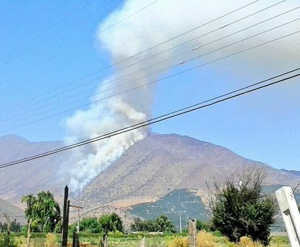 Gran despliegue de operativos por incendio forestal en Llay Llay