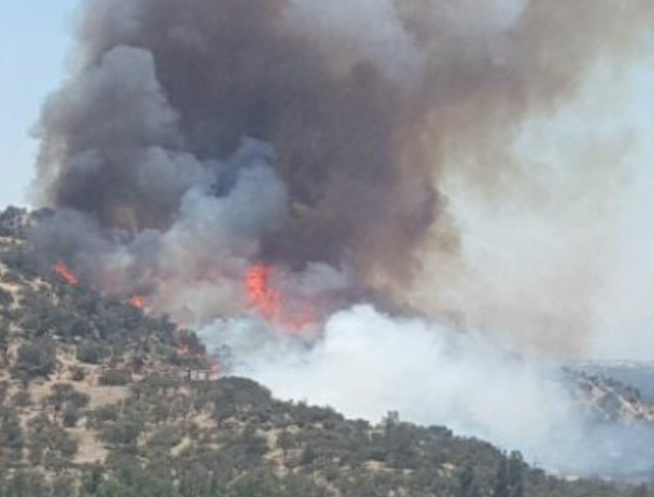 Alerta Roja en Pirque por Incendio forestal de grandes proporciones