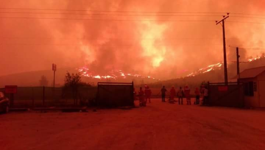 Incendio Forestal en Pumanque: Twitteros reclaman poca cobertura por parte de los medios