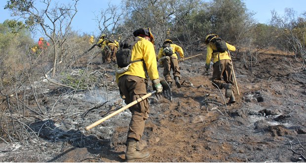 Balance Conaf: Se combaten 18 incendios de gran magnitud y 47 mil hectáreas consumidas