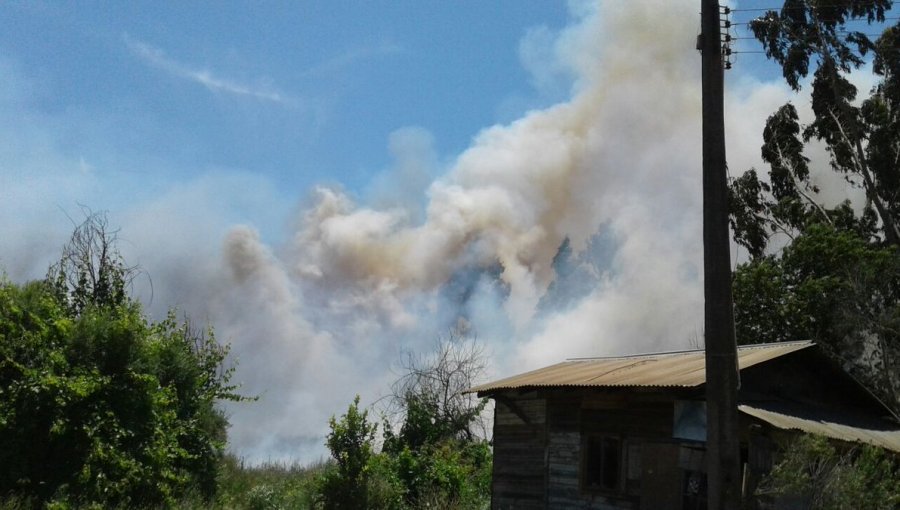 V Región en llamas: 6 comunas se encuentran con Alerta Roja por incendios forestales