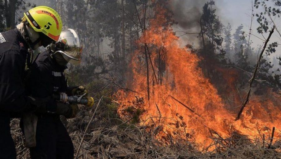 Conaf informa que se han controlado 76 incendios forestales