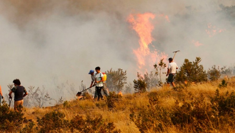 Emiratos Árabes Unidos realiza millonaria donación a Chile para combatir los incendios