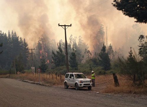 Incendio forestal enciende las alarmas en Hualqui