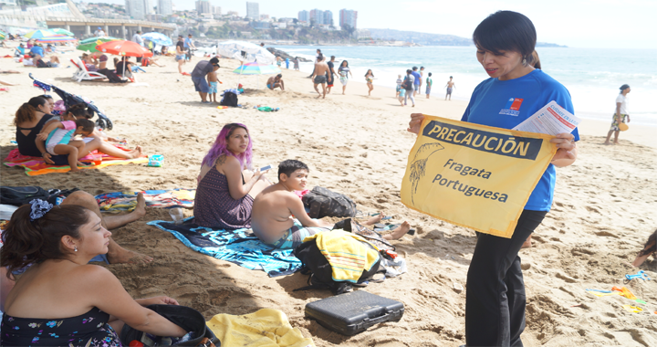 Seremi de Salud decreta prohibición de baño en Playa Caleta Portales en la V Región