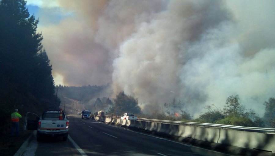 Impactante Video de Incendio en Ruta de Las Palmas en Viña del Mar