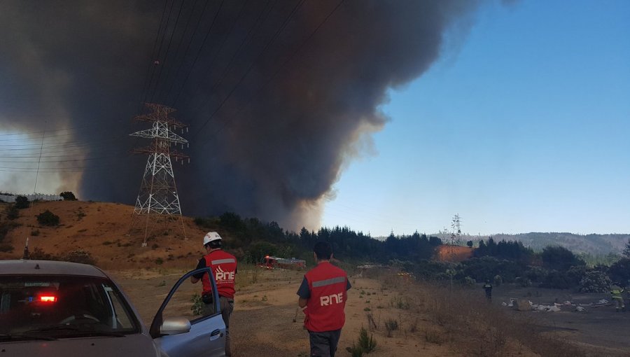 Incendio en Viña del Mar: Casas consumidas y cerca de 230 hectáreas arrasadas por el fuego
