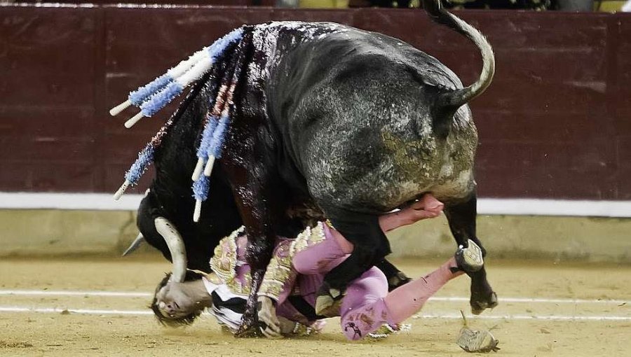 Video: Torero recibe brutal ataque de un toro en Valencia