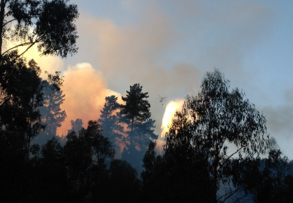 Se registra rebrote de incendio forestal en la Ruta 68 en Valparaíso