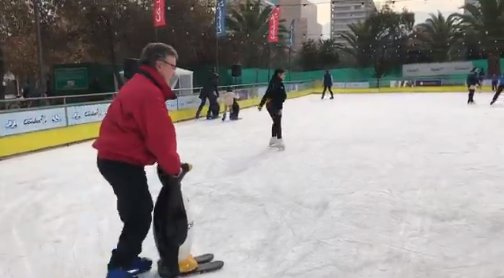 Municipio de Las Condes inaugura pista de patinaje sobre hielo