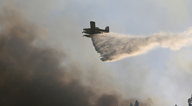 Avioneta se estrelló mientras combatía incendios forestales en Portugal