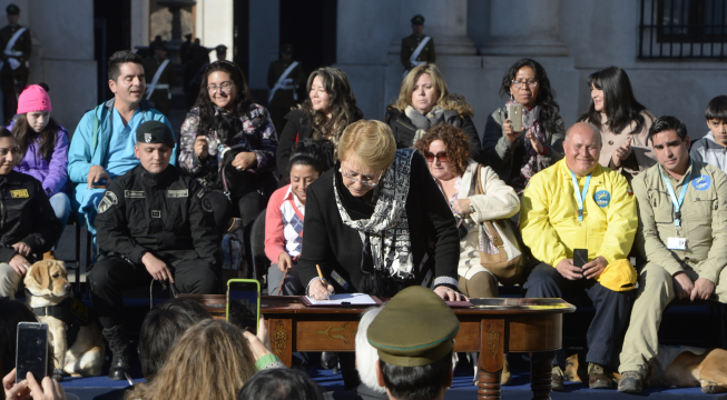 Presidenta Bachelet promulga ley "cholito": Tenencia responsable de mascotas