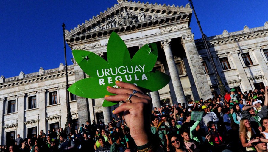 Uruguay comienza a vender marihuana en sus farmacias