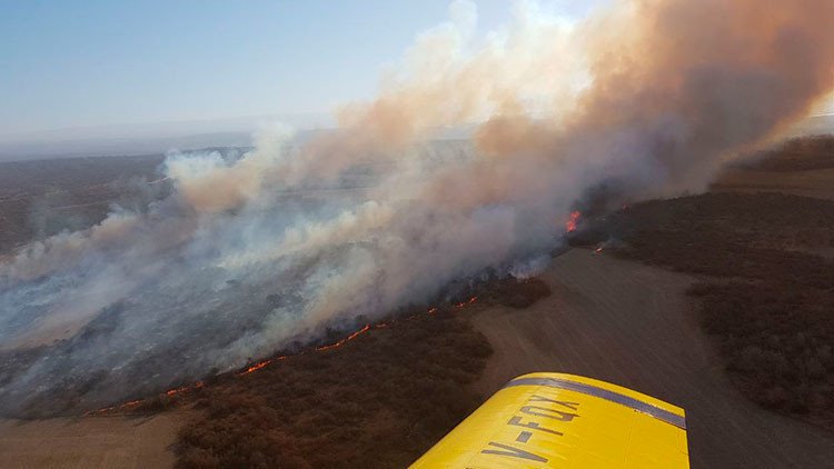 Argentino trata de hacer un asado y quema 100 hectáreas de pastizales