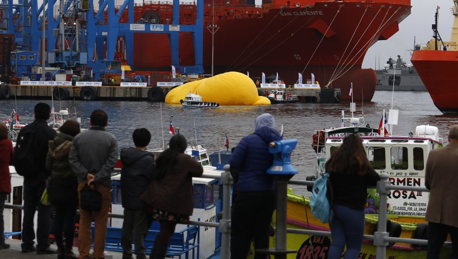 Pato de hule reaparece en bahía de Valparaíso, a pesar del aviso de marejadas
