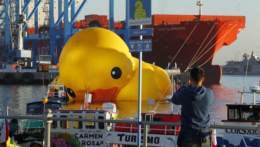 Pato gigante tuvo que ser desinflado de madrugada en Valparaíso