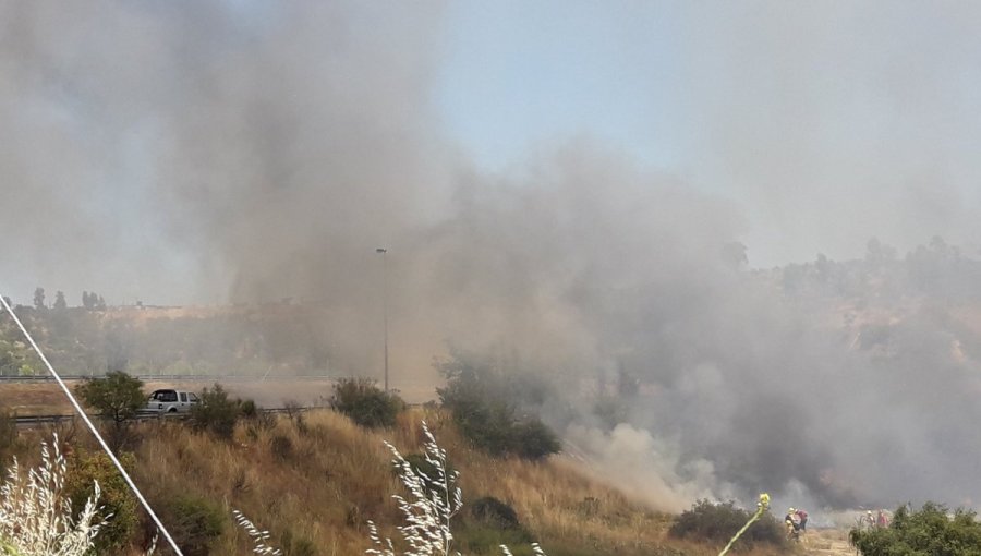 Tres focos de incendio acechan Villa Alemana: Afectan al fundo El Triangulo