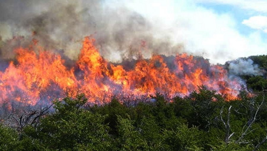 Onemi declara alerta temprana preventiva por riesgo de incendios forestales