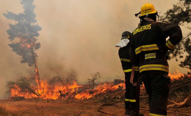 Incendio forestal consumió más de una hectárea en sector alto de Reñaca
