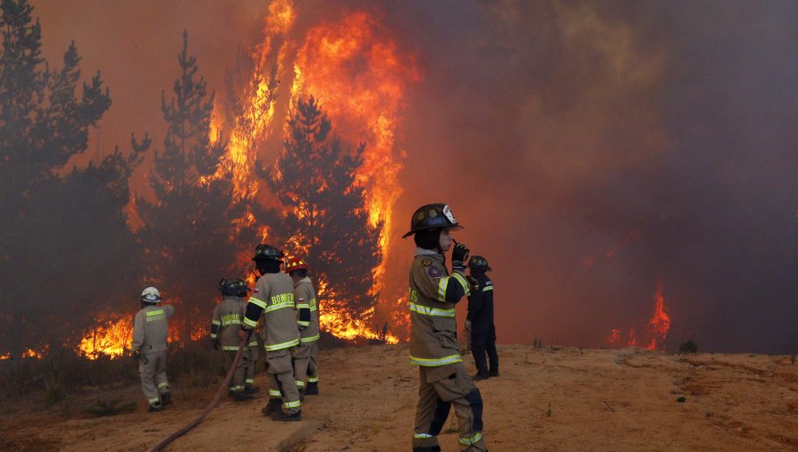 Declaran alerta roja para la comuna de Melipilla por incendio forestal