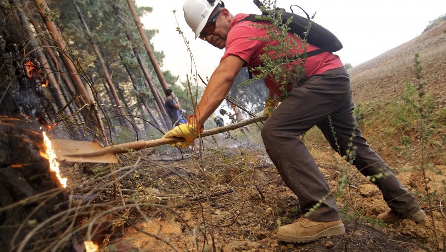 Logran controlar incendio forestal en Melipilla: Consumió más de 100 hectáreas