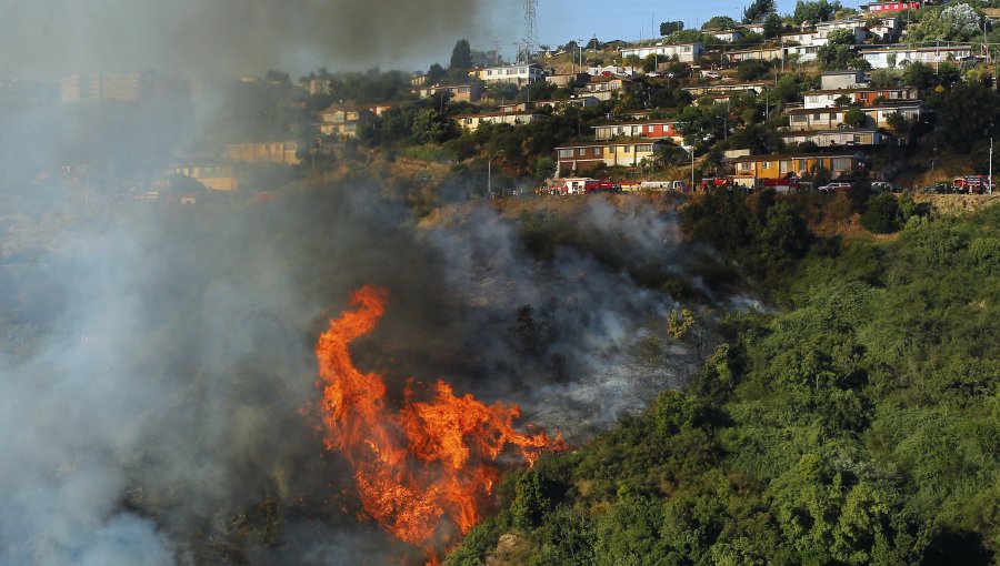 Onemi canceló alerta roja por incendios forestales en Quilpué y Viña del Mar