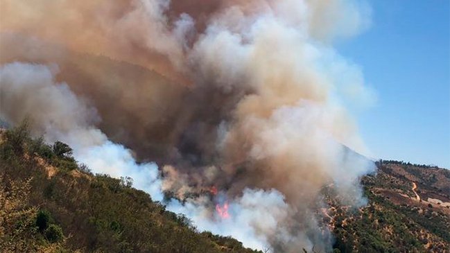 Alerta Roja en Quilpué: Incendio arrasa con más de 8 hectáreas en Belloto Norte