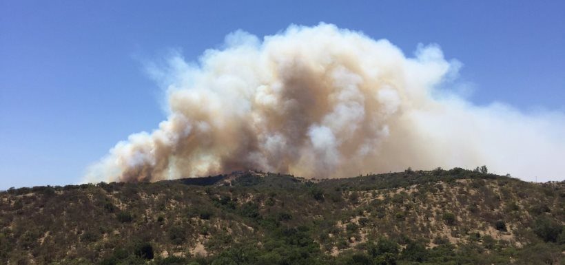 77 Incendios Forestales en todo Chile: Región de Valparaíso y Araucanía acumulan más siniestros