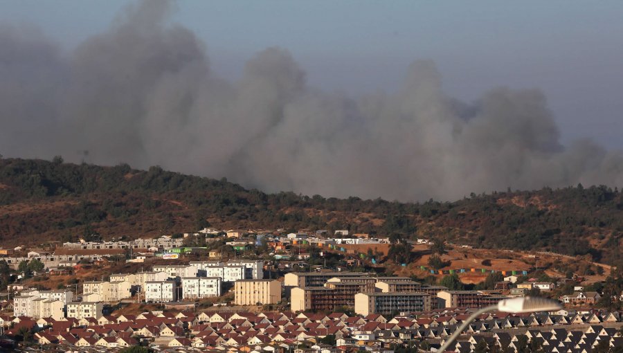 Incendios en Región de Valparaíso: Cerca de 900 hectáreas son arrasadas por las llamas