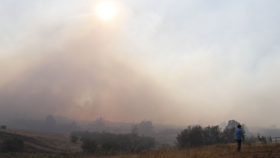 Onemi mantiene Alerta Roja para Limache y Villa Alemana por incendios