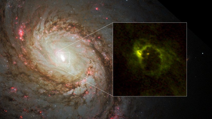 Captan el anillo de polvo de gas alrededor de un agujero negro supermasivo