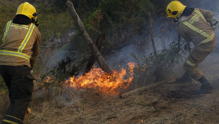 Controlan incendio forestal en Paine, pero Intendencia mantiene Alerta Roja