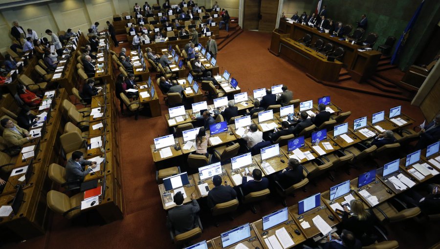Cámara de Diputados aprobó proyecto que regula captura de la jibia