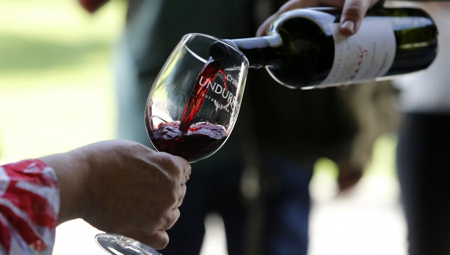 SAG: Producción de vino en Chile aumentó 35,9% en 2018